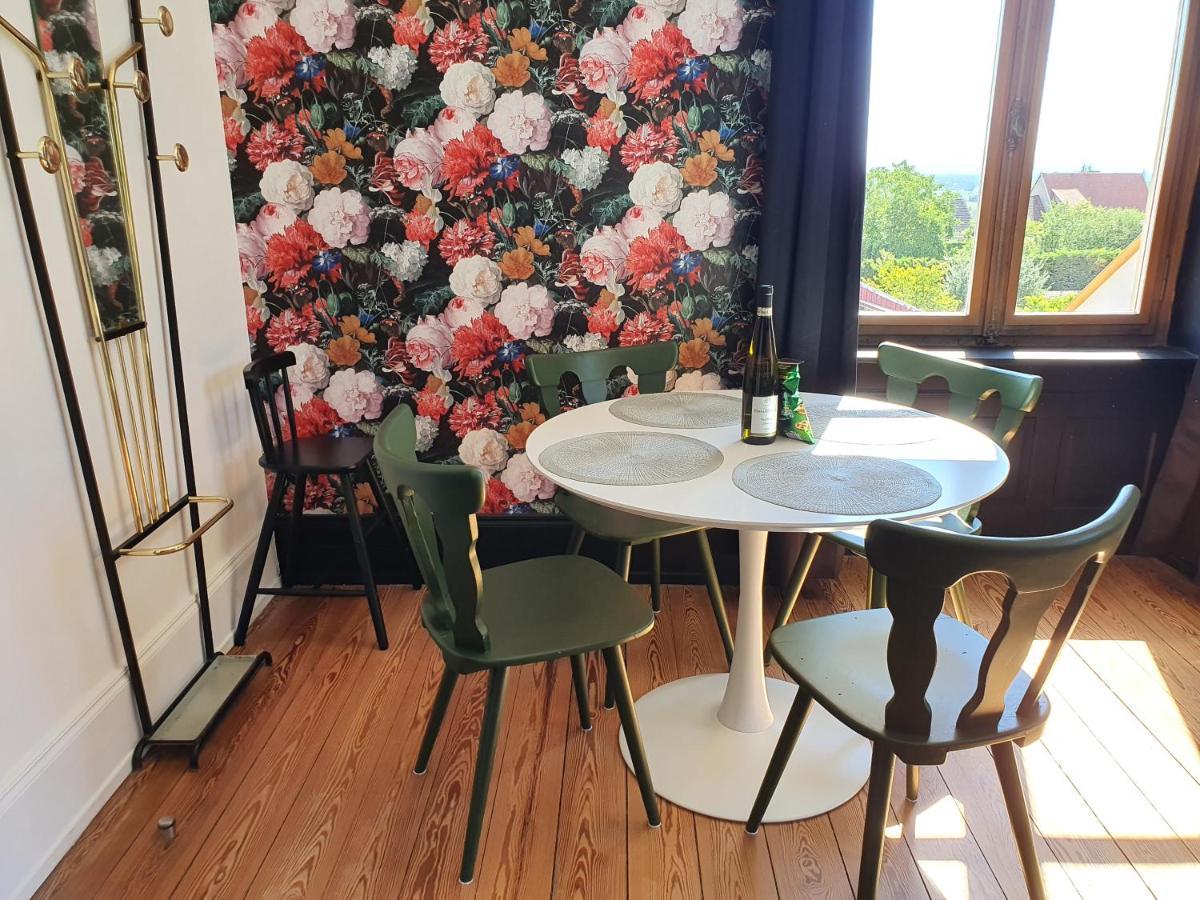 Sojolidays - Appartements D'Hotes Sur La Route Des Vins D'Alsace Rorschwihr Kültér fotó