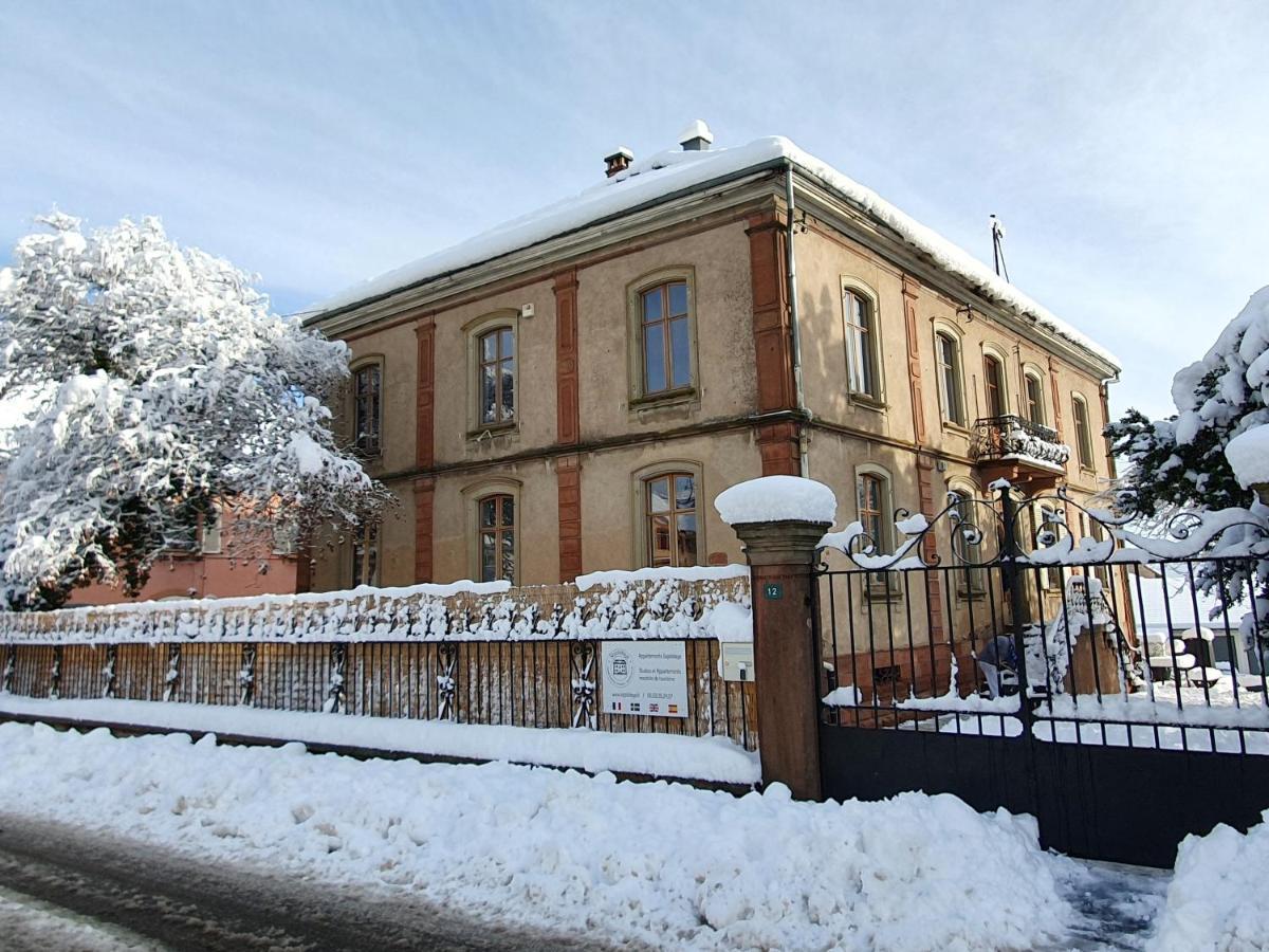 Sojolidays - Appartements D'Hotes Sur La Route Des Vins D'Alsace Rorschwihr Kültér fotó